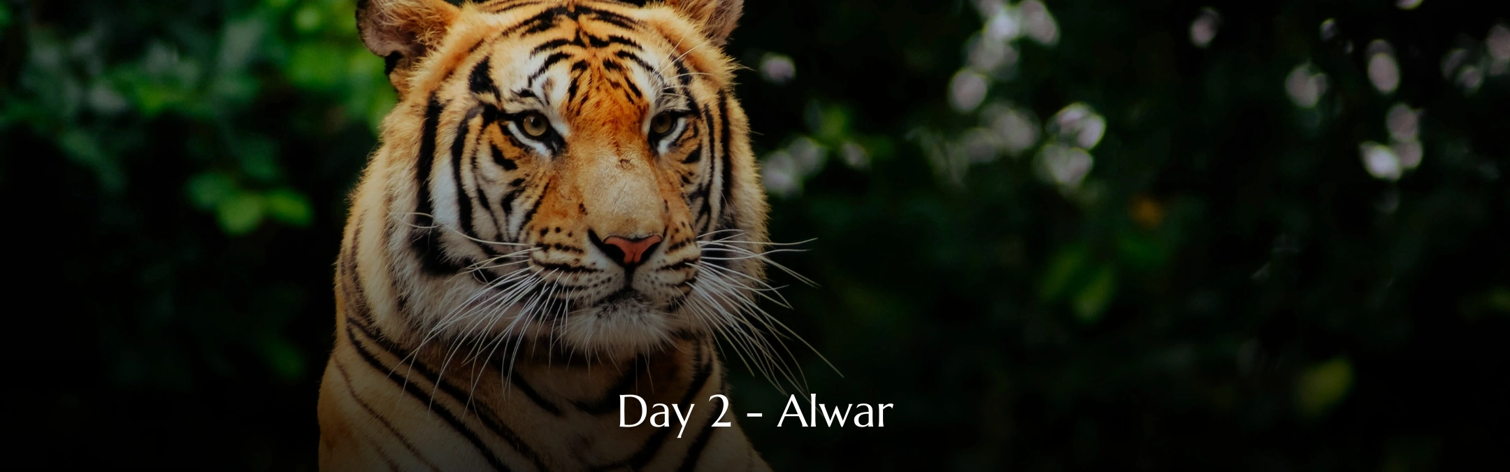 Alwar Tour Day 02