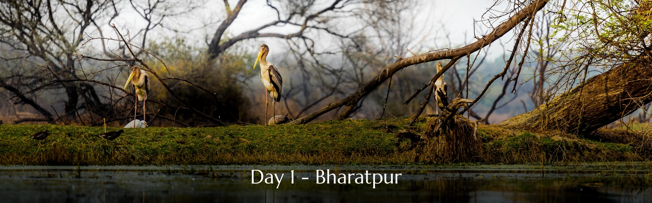 Bharatpur Tour Day 01