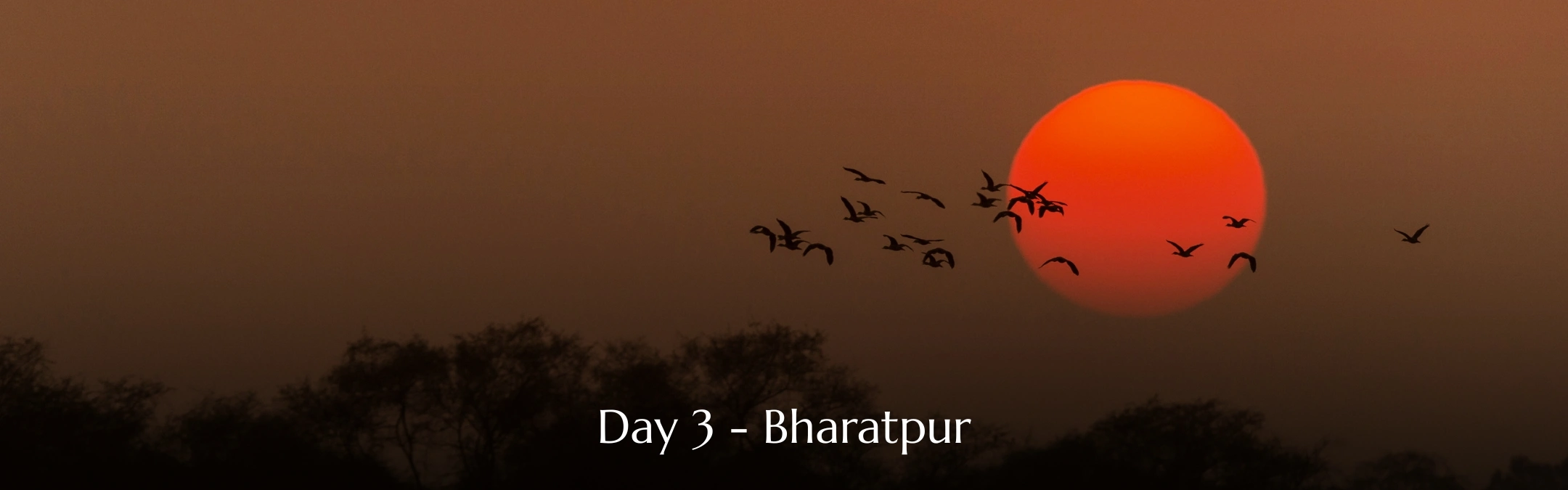 Bharatpur Tour Day 03