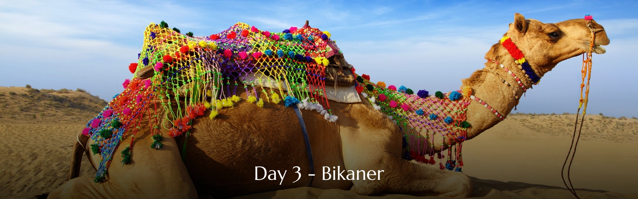 Bikaner Tour Day 03