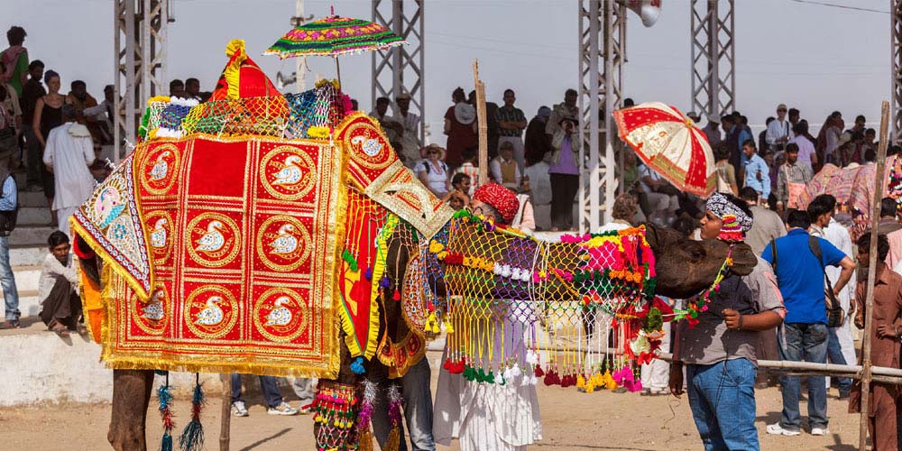 Bikaner Camel Festival