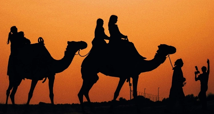 Camel Ride Experience Bikaner