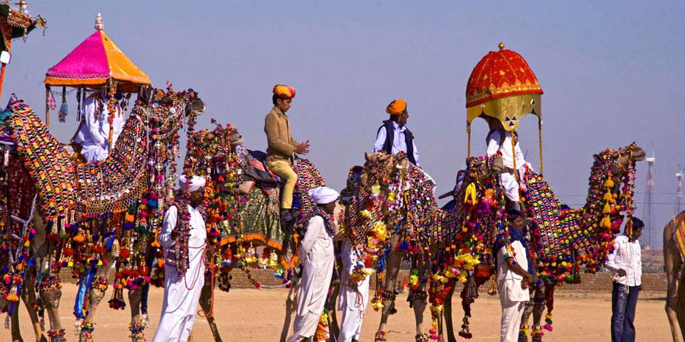 Desert Festival