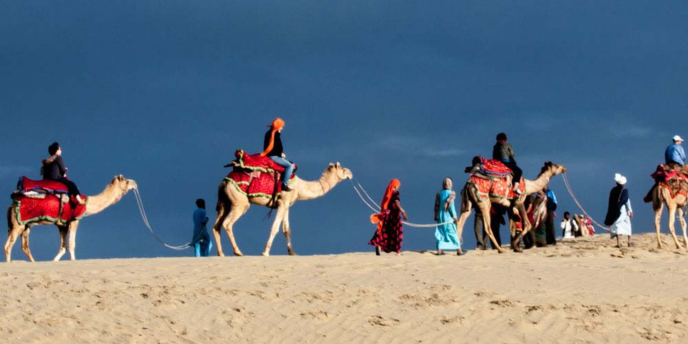 Desert Camel Safari