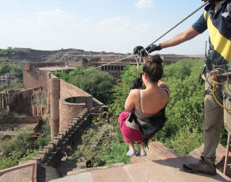 Jodhpur Flying Fox