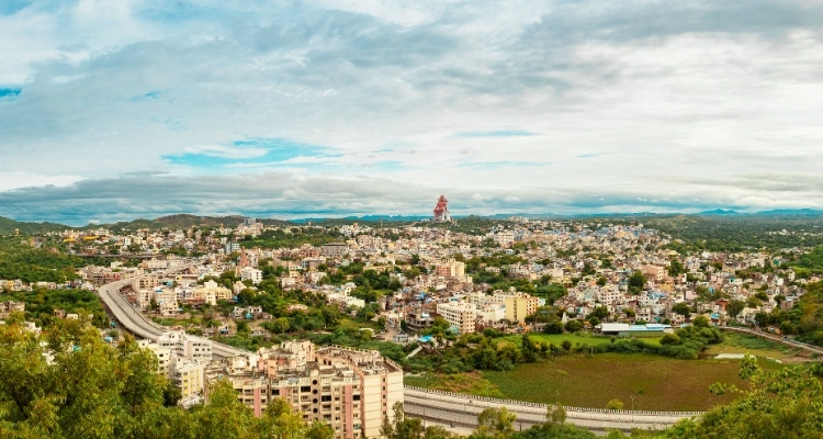 Nathdwara Local Market