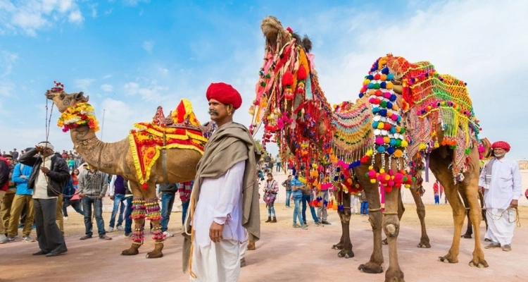 Camel Fair Pushkar