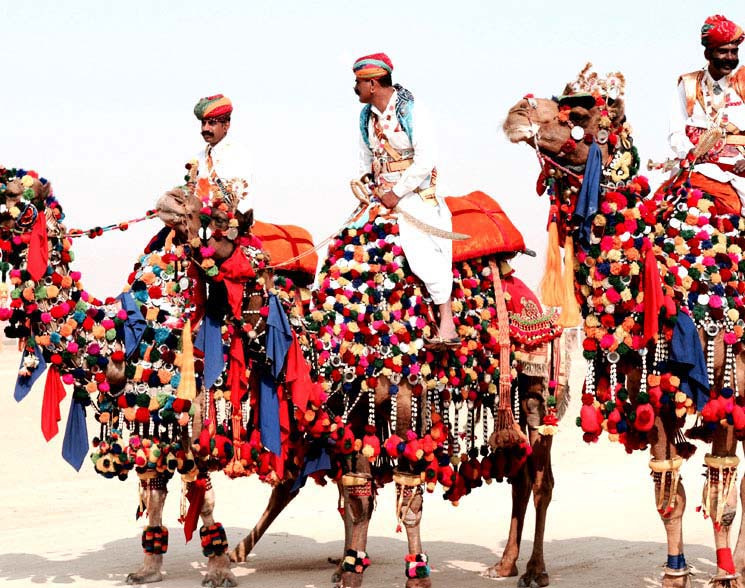 Pushkar Camel Safari