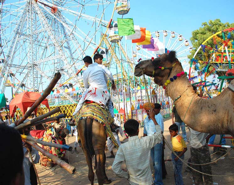 Pushkar Mela