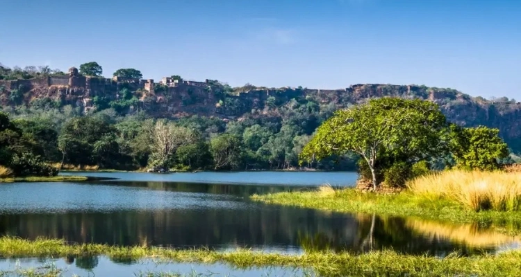 Ranthambore Nature Walk